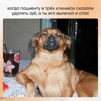 Мем